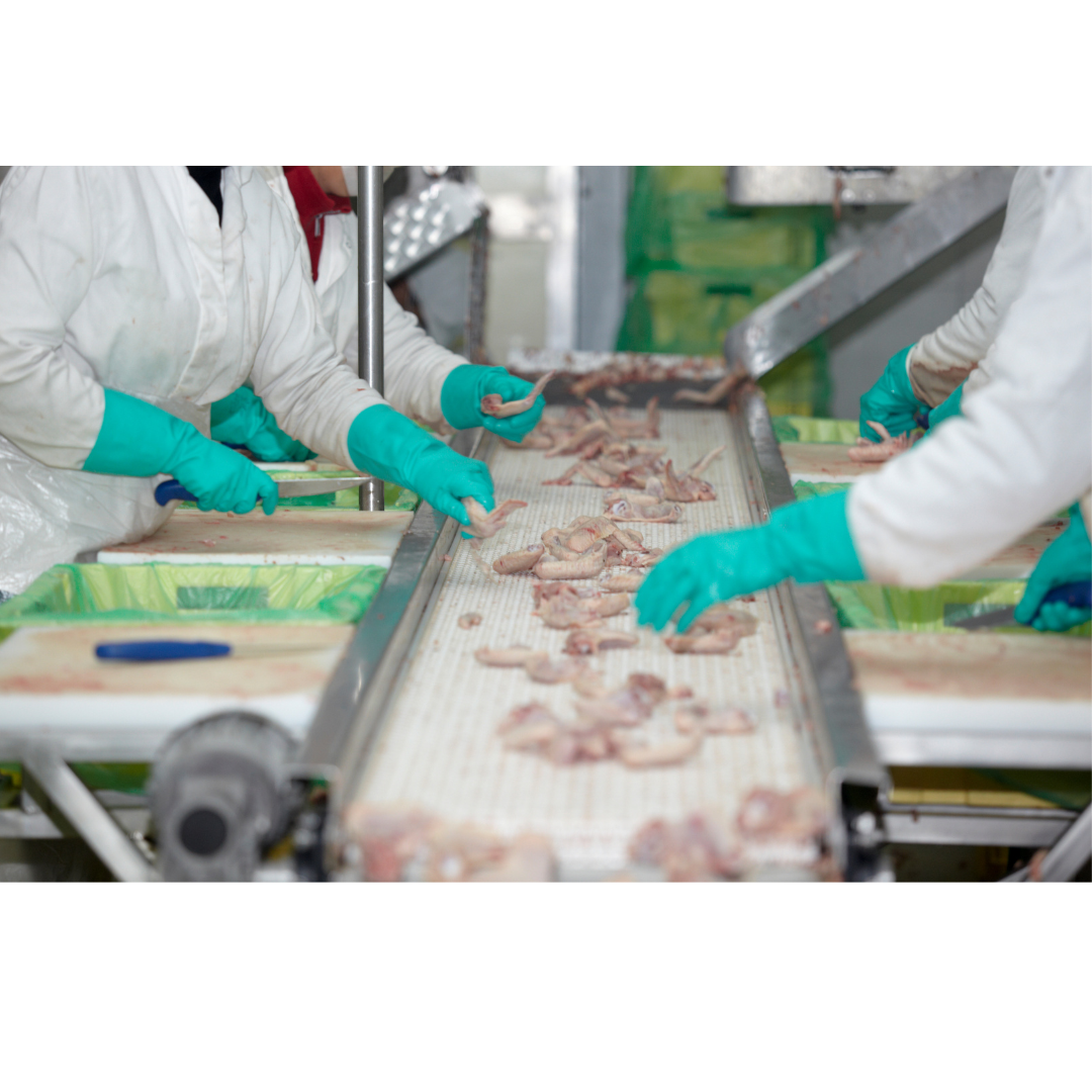 INDUSTRIAS ALIMENTARIAS